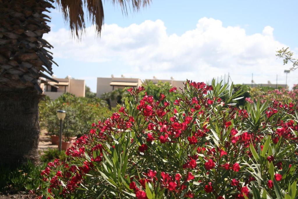 Residence Punta Longa Favignana Esterno foto